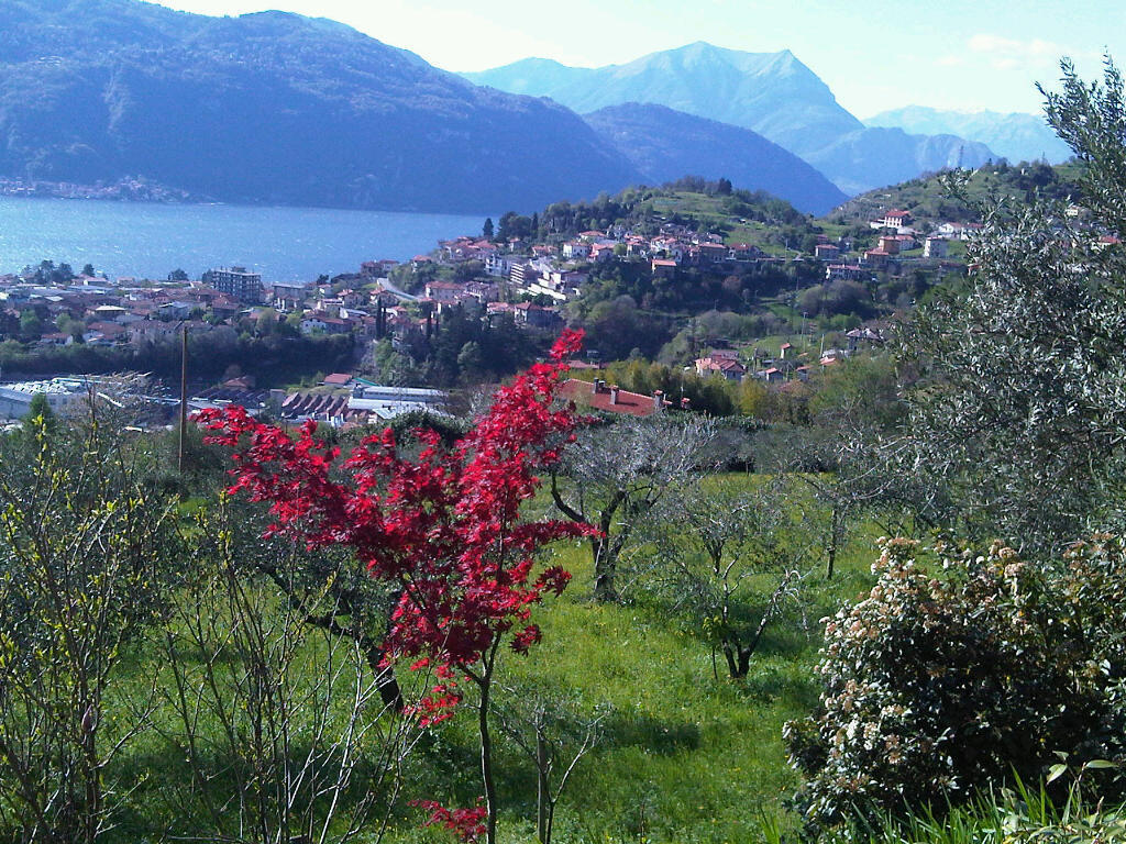 Agriturismo Crotto Di Somana Mandello del Lario Exterior foto